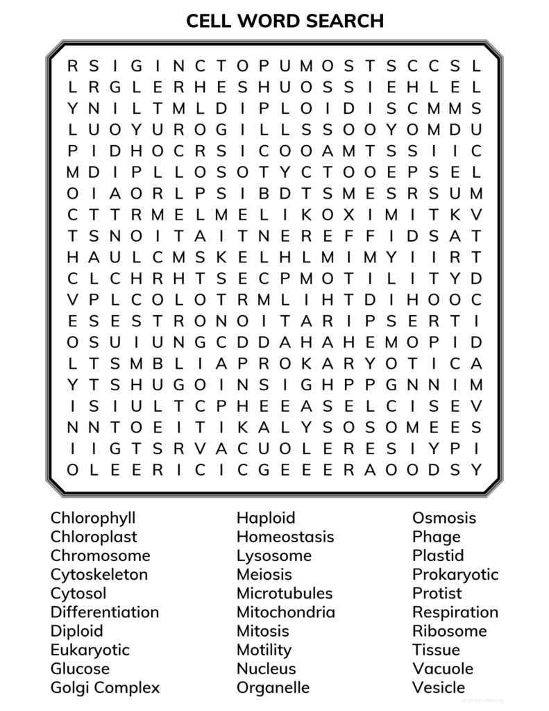 Cell Biology Word Search Printable Word Search