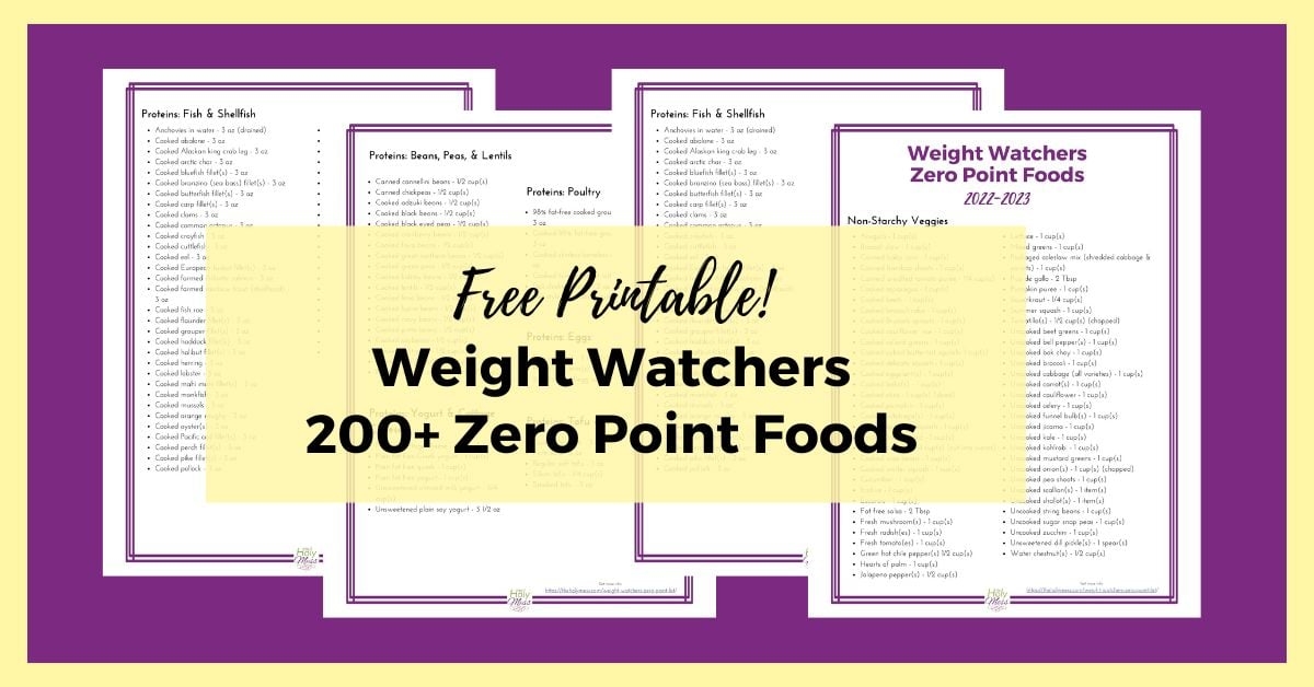 Easy List Of Weight Watchers Foods And Points 2023 AtOnce