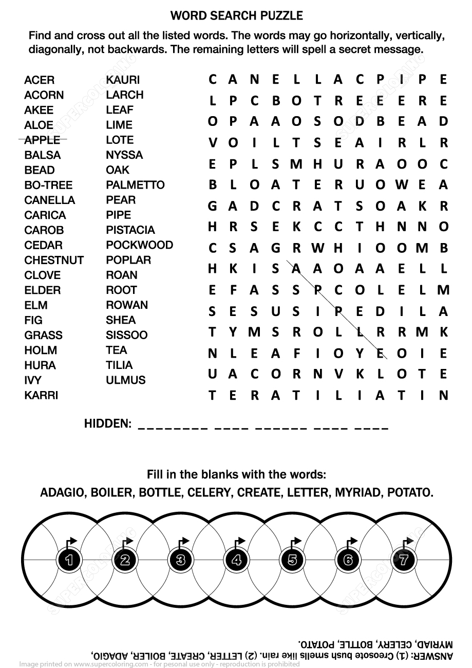 Palm Sunday Hidden Message Word Search Sunday School Palm Word 