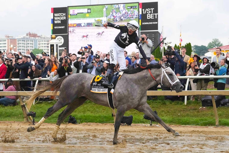 Preakness 2024 Horses List Vania Janeczka