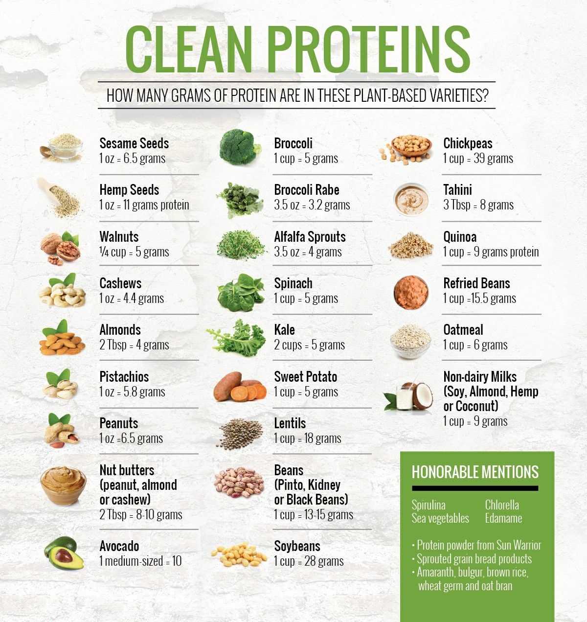 Printable Protein Chart For Foods Printable List Of Protein Foods