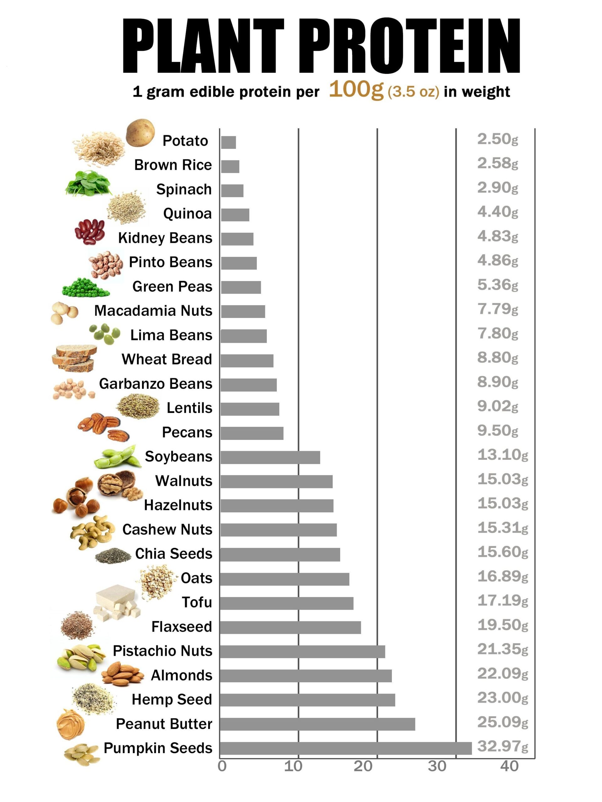 Printable Protein Foods List Printable New Year Banners