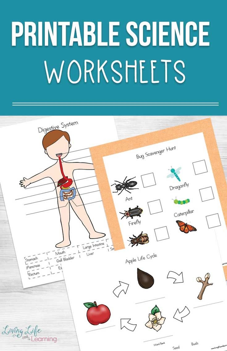 Printable Science Worksheets Printable Worksheets